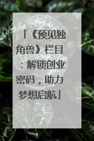 《预见独角兽》栏目：解锁创业密码，助力梦想启航
